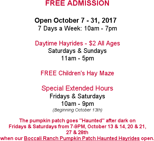 From Tiny To Extra-large “big Mac” Pumpkins, A Wide - Boccalis Ojai Pumpkin Ranch (540x495), Png Download