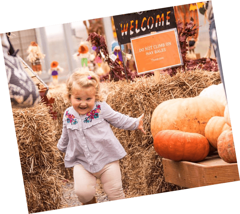 Whether You're Hoping To Impress Guests With Your Favorite - Toddler (766x685), Png Download