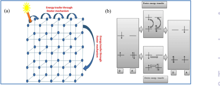 Ligand To Ligand Energy Transfer Through Fo¨rster And - Ligand (850x321), Png Download