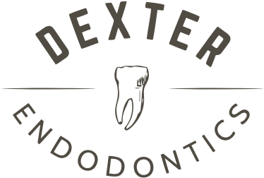 Dexter Endodontics Matthew G - 10 Deep Garment Supply (376x372), Png Download
