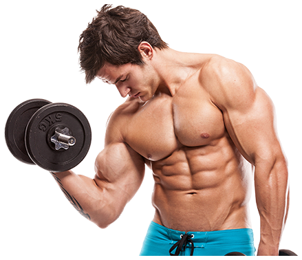 Gym Workout Png Occlusion Training Bands By Bfr Bands Pro Model 2 Full Size Png Download Seekpng