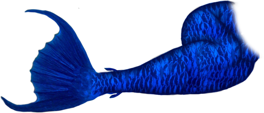 Share This Article - Dark Blue Mermaid Tail (900x474), Png Download