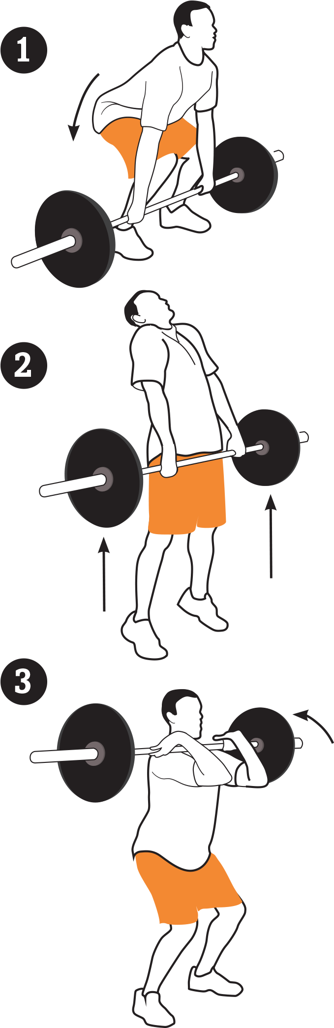 Power Cleans - Training (800x2144), Png Download