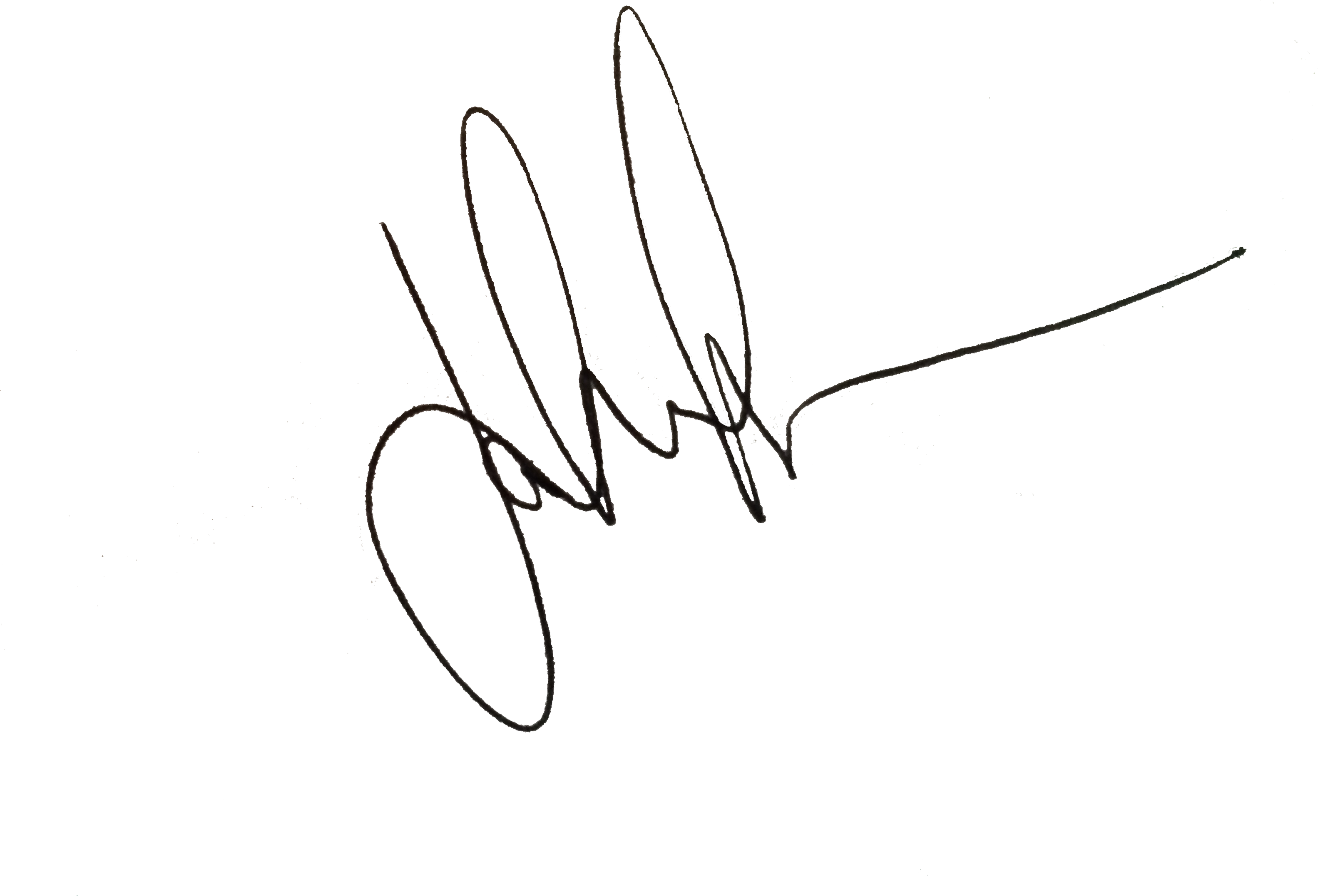 Signature To Png - Line Art (3264x2448), Png Download