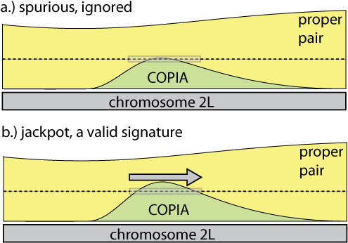 The Average Coverage In The Window Is Above The Minimum - Diagram (500x367), Png Download
