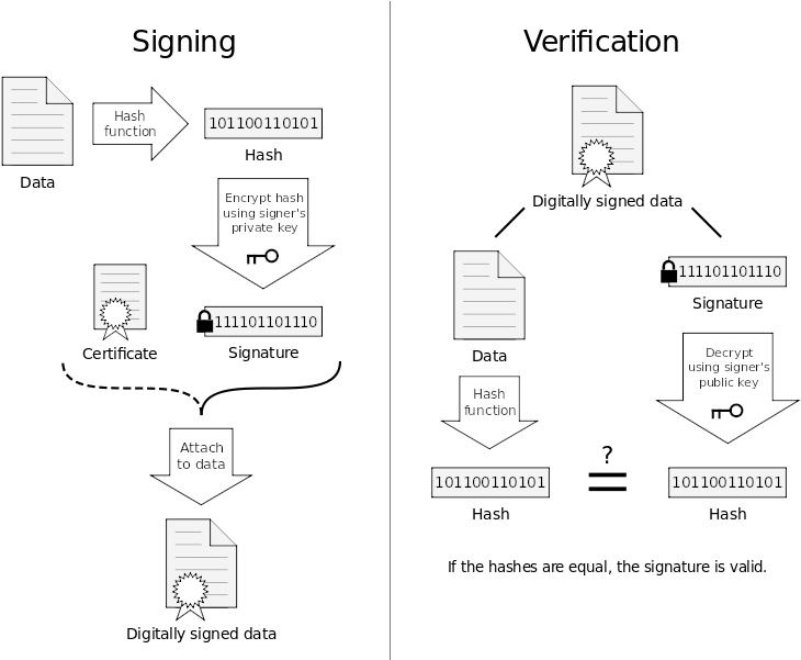 Digital Signature - Working Of Digital Signature (800x600), Png Download
