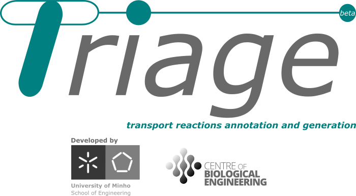 Triage - Graphic Design (700x385), Png Download
