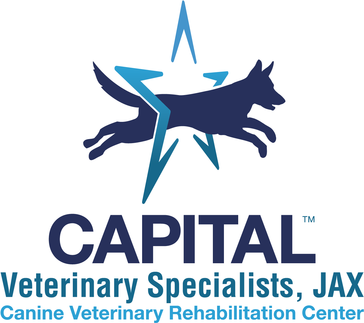 If Your Pet Is Having Trouble Standing, Walking Or - Vedika Credit Capital Ltd Logo (1365x1204), Png Download