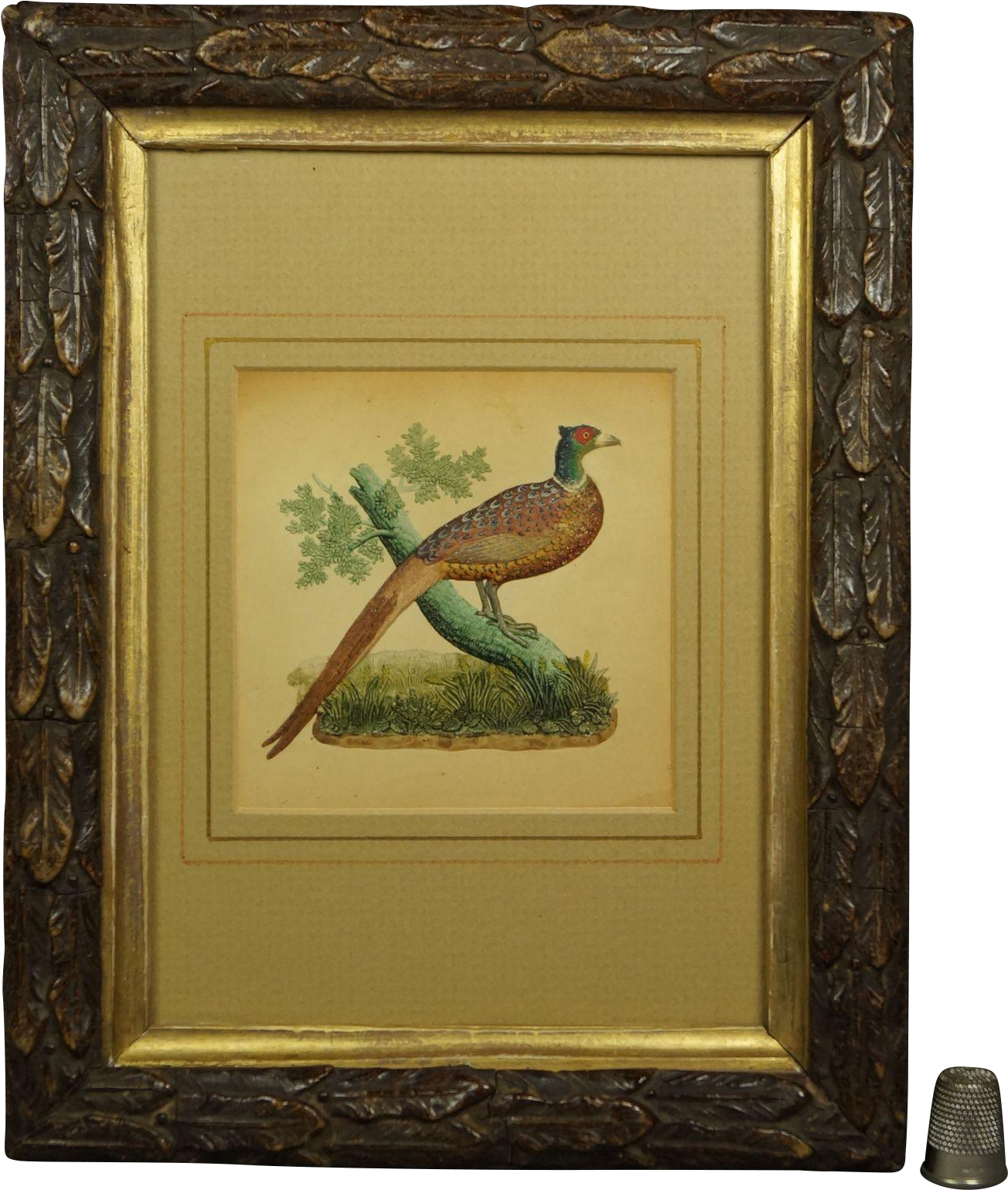 19th Century English Watercolor Embossed Paper Pheasant - Picture Frame (1538x1538), Png Download