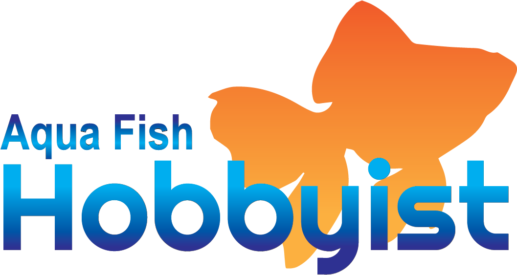 Aquarium Gravel Beginners Guide - Aqua Fish (1066x575), Png Download