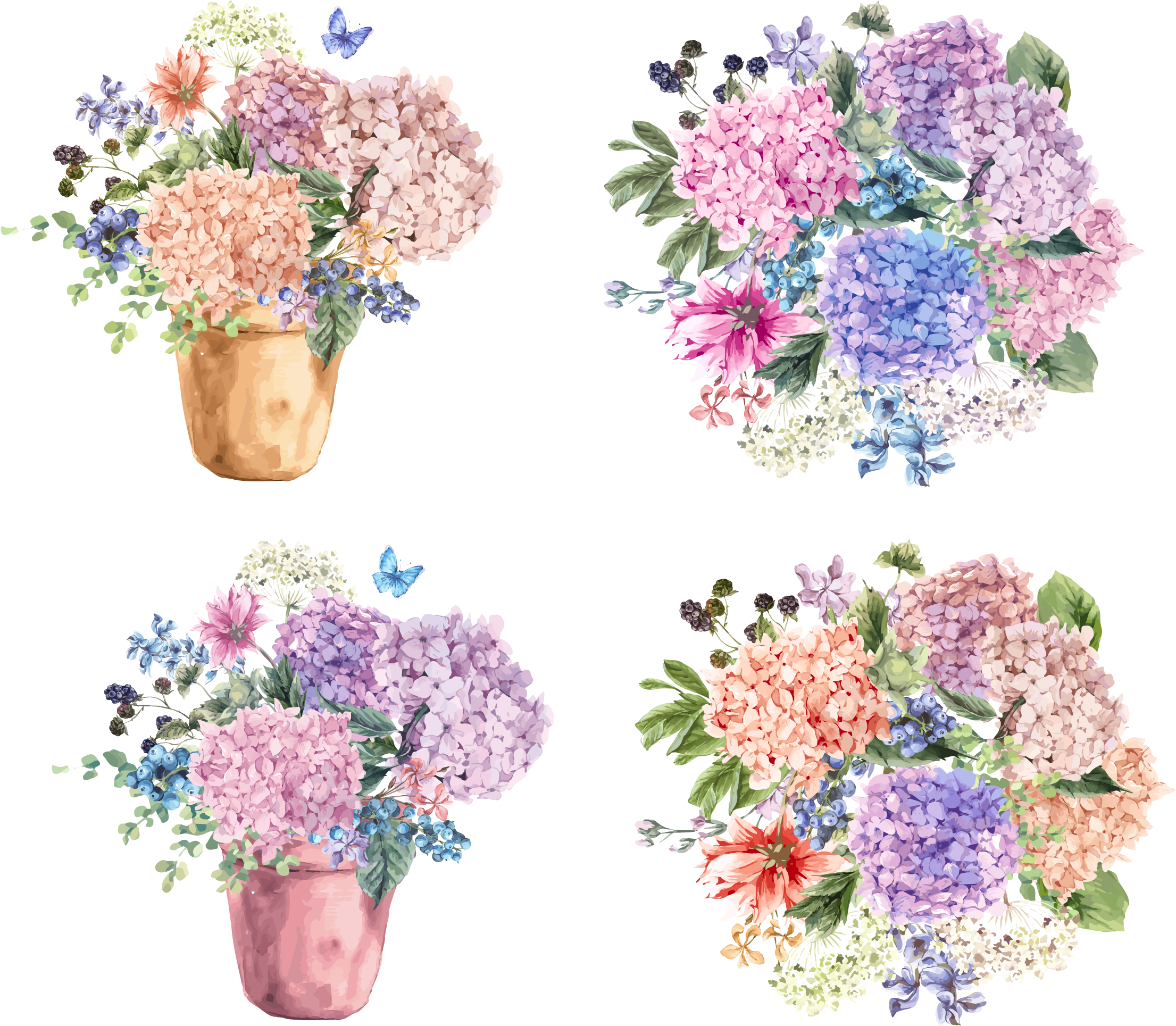 Picture Free Stock Petiolaris Blossom Illustration - Um Pedacinho Do Céu (2362x2362), Png Download