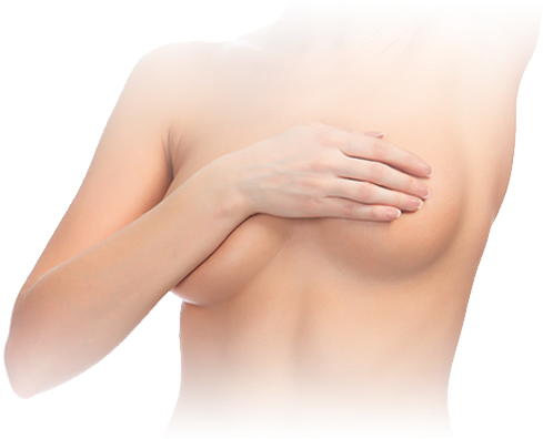 Breast Procedures - Breast (522x445), Png Download