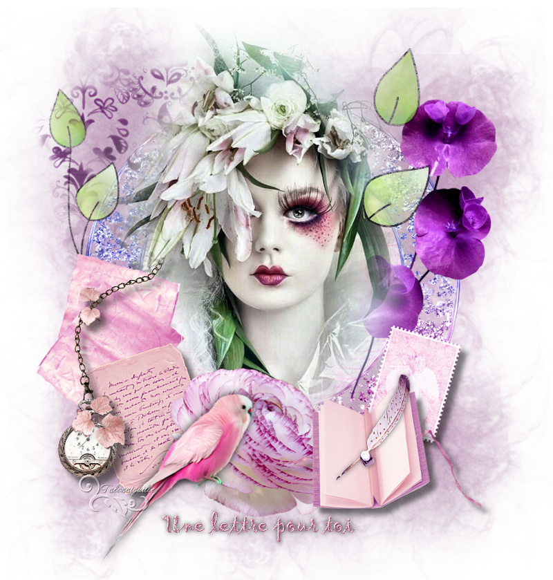 Une Lettre Pour Toi *** - Paeonienblütige Ranunkel 'picotee Pink' (art.nr. 597291) (800x839), Png Download