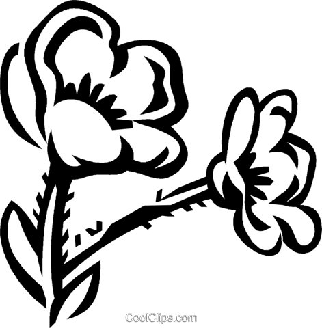 Buttercup Royalty Free Vector Clip Art Illustration - Buttercup Flower Clipart (471x480), Png Download