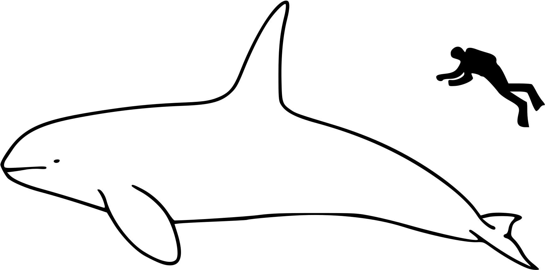 Open - Killer Whale Size Comparison (2000x1026), Png Download