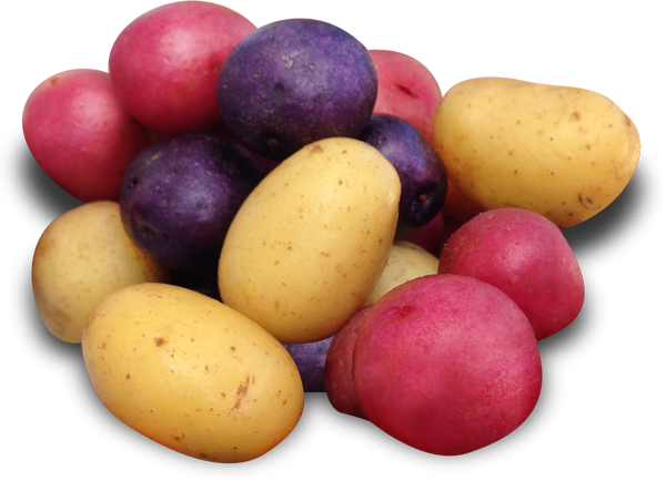 Marble Potatoes - Mixed Potatoes (600x434), Png Download