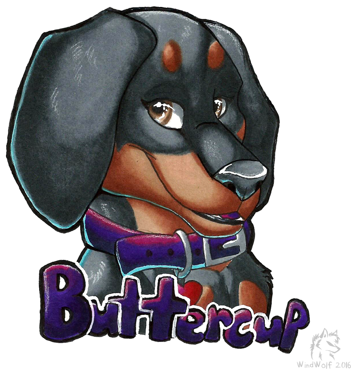 Traditional Buttercup Badge - Dachshund (809x899), Png Download