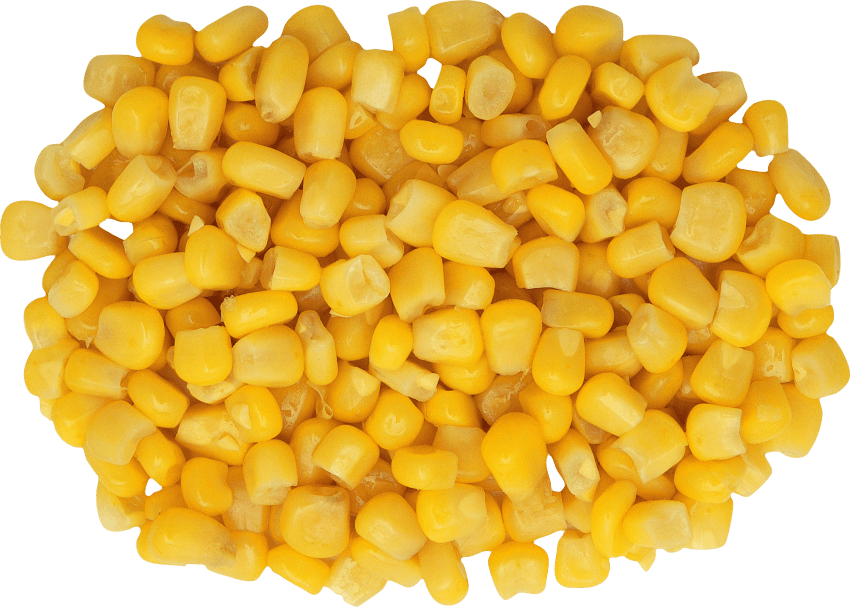 Free Png Corn Png Images Transparent - Corn Png (850x607), Png Download