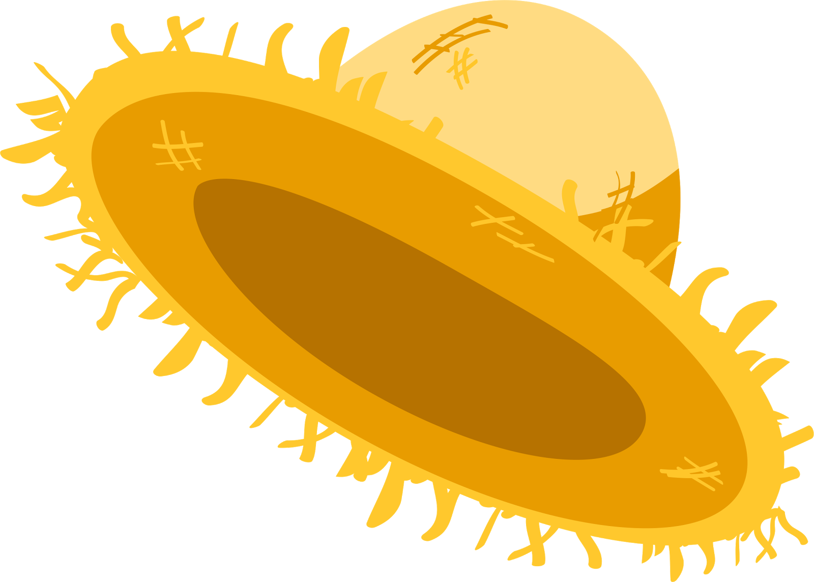 Chapeu Png, Milho Png, Pipoca Png, Viola Png Bandeirinhas - Chapeu Festa Junina Png (1600x1144), Png Download