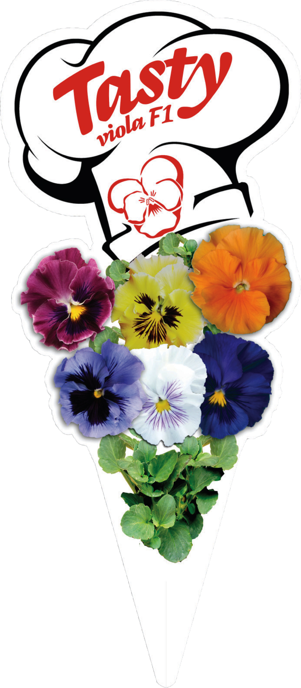 Click To Open Image Click To Open Image - Pansy (1029x2350), Png Download