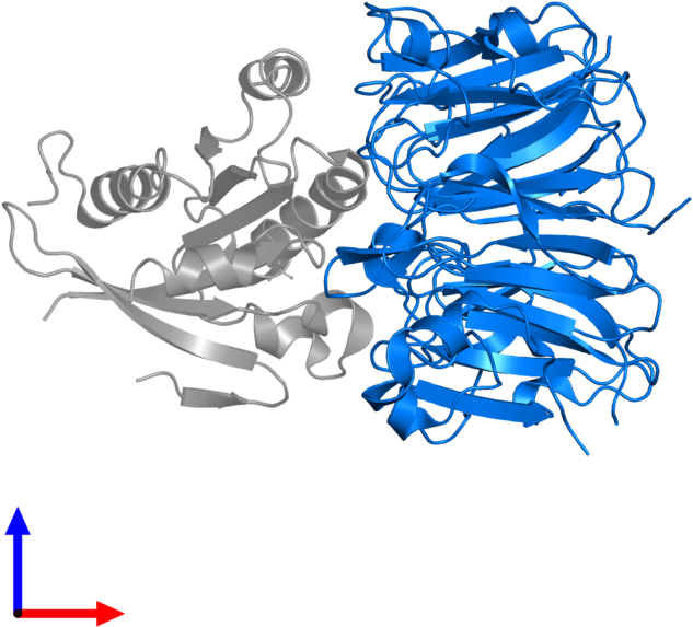 <div Class='caption-body'>pdb Entry 1i2m Contains 1 - Graphic Design (800x800), Png Download