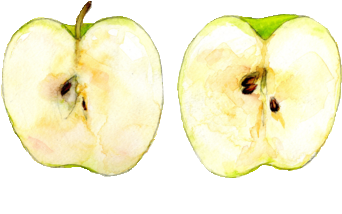 7 Foods That Totally Destroy You Abdominal Fat - Apple Watercolor (500x251), Png Download