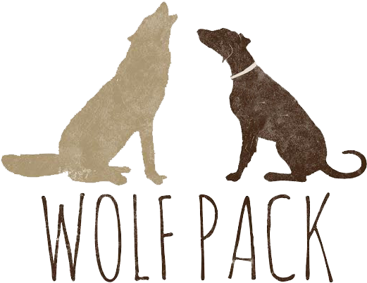 Czechoslovakian Wolfdog (548x418), Png Download