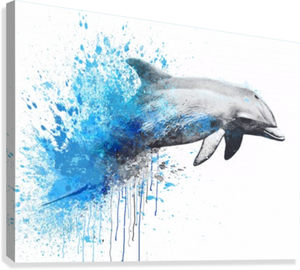 Dauphin Art - Common Bottlenose Dolphin (429x386), Png Download