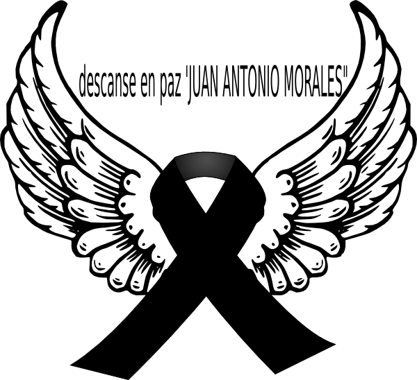 Small - Angel Wings (600x548), Png Download