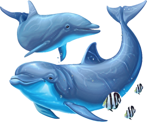 Dolphin (476x396), Png Download