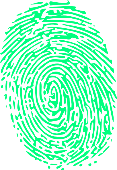 Green Fingerprint Clip Art At Clker - Green Fingerprint Png (408x594), Png Download