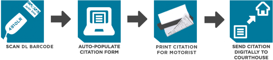 Ecitation Flow Chart - Calm And Carry On Book (960x213), Png Download