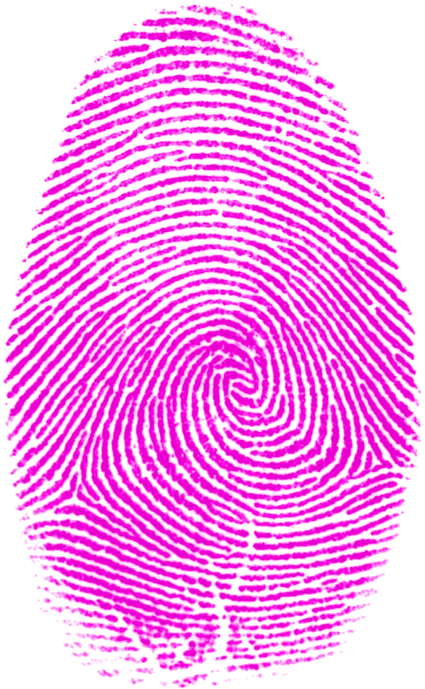 Fingerprint - Fingerprint Patterns (500x723), Png Download