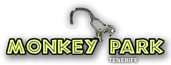 Monkey Park Tenerife - Tenerife Zoo Monkey Park (567x250), Png Download