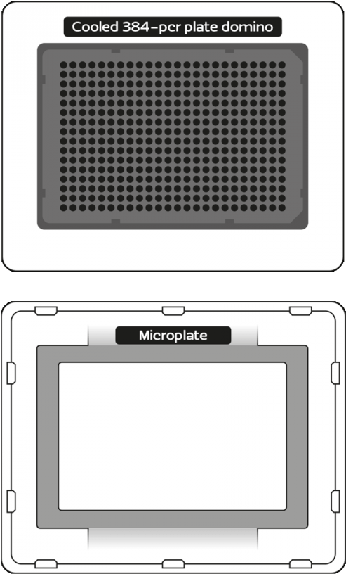 Dominos For 384-pcr Plate - Andrew Alliance S.a. (500x875), Png Download