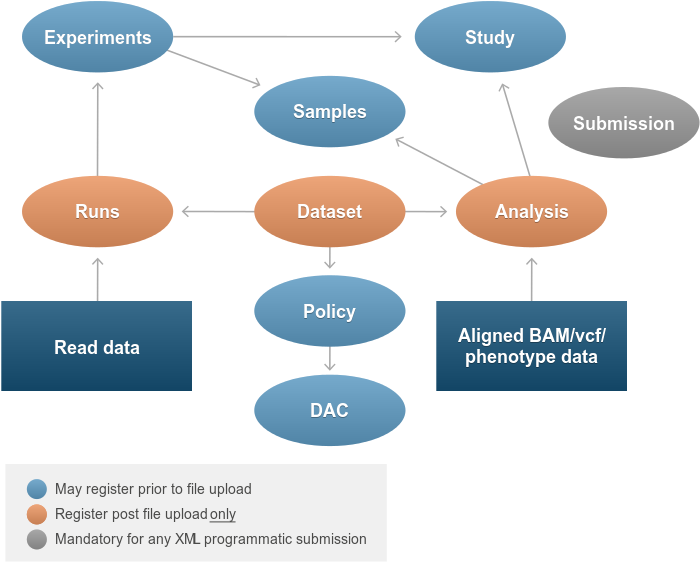Ega Metadata Model - Diagram (750x600), Png Download