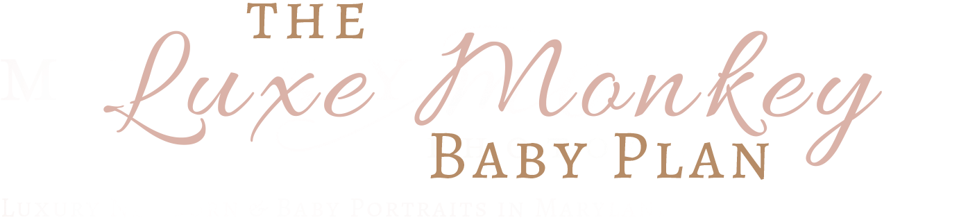 The Luxe Monkey Baby Plan - Jake & Ling Ling By R. S. Carter (2000x405), Png Download