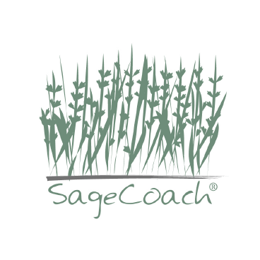 Menu - Shelf (368x368), Png Download