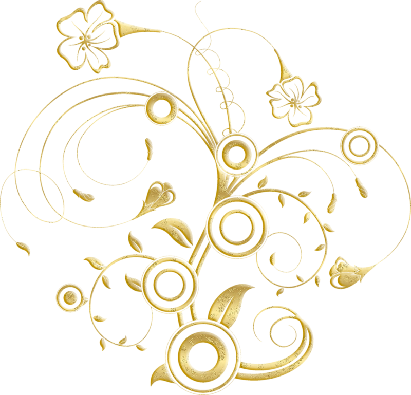 Q6gi4by - Floral Vector (800x769), Png Download