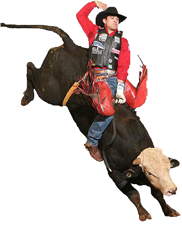 Mechanical Bull Png - Imagen De Toros Png (400x488), Png Download
