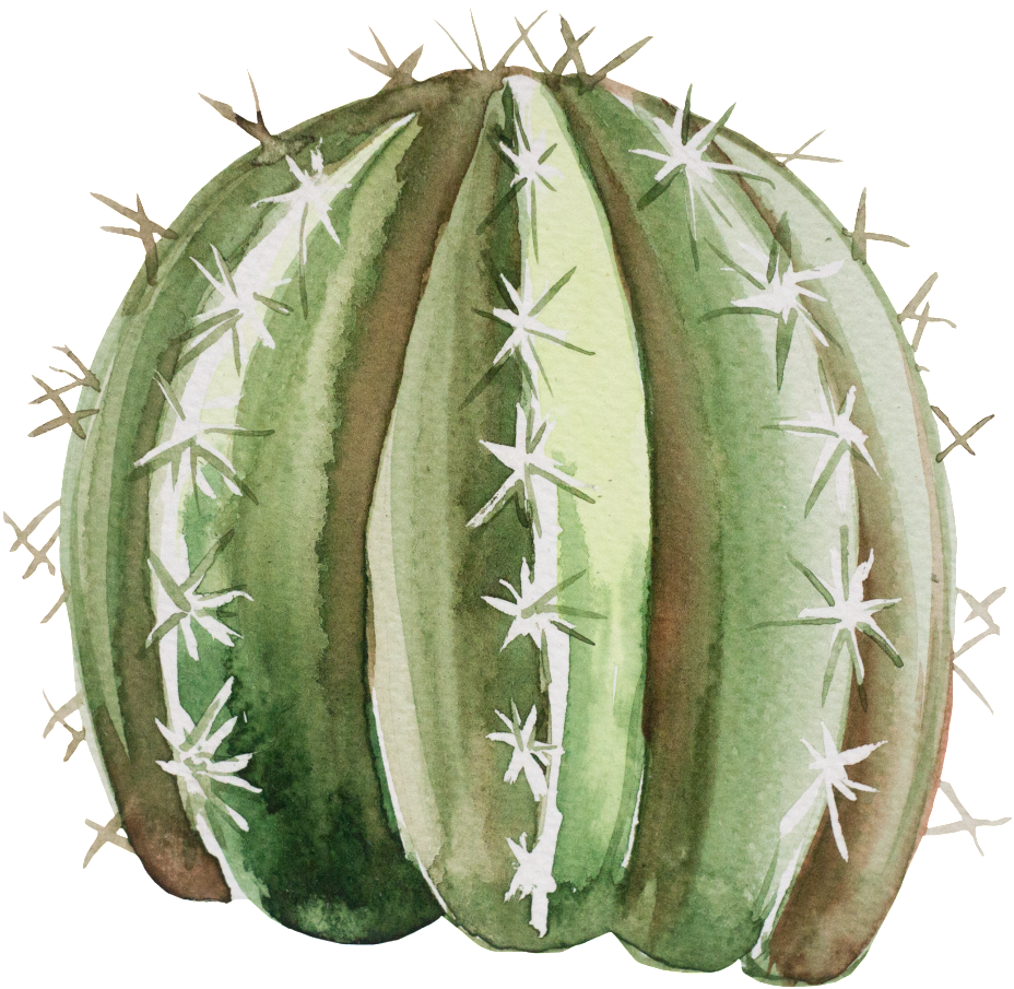 Hand Painted Cartoon Fairy Head Transparent - Portable Network Graphics (1024x987), Png Download