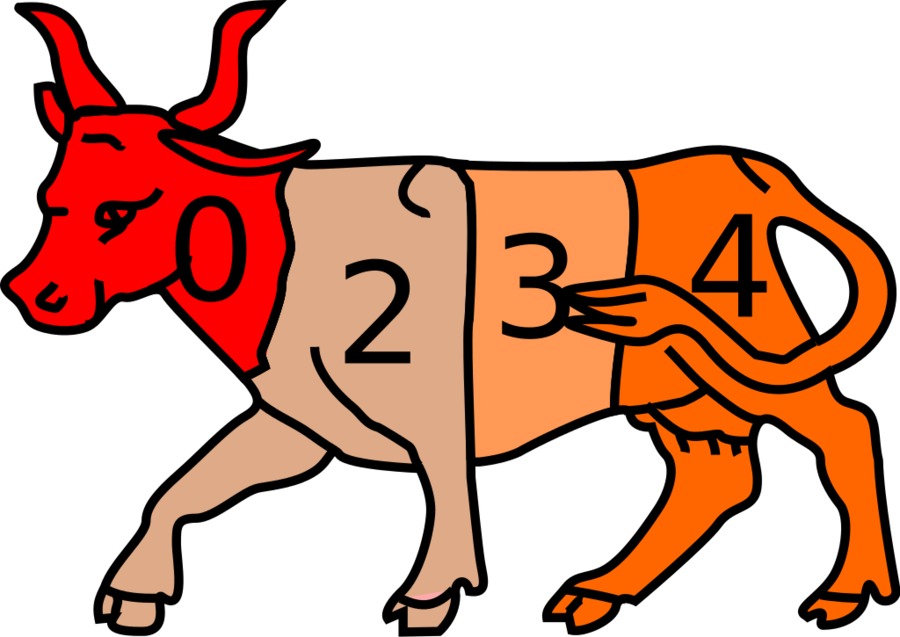 Chilijskie Rodeo Clipart Chilean Rodeo Clip Art - National Rodeo In Chile (900x637), Png Download