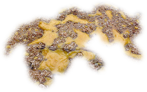 24 Mar 2009 - D&d Yellow Mold (488x306), Png Download