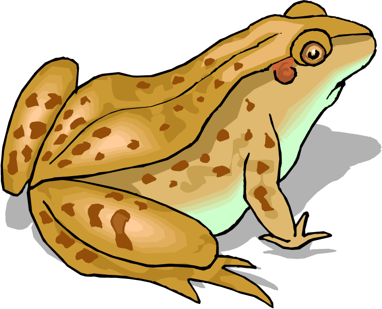 Clipart Free Download Top Clip Art Free Image - Toad Clipart (750x607), Png Download