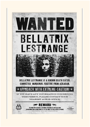 Harry Potter Bellatrix Wanted Poster (528x600), Png Download