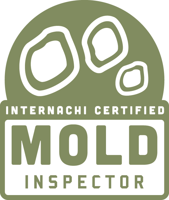 Published December 20, 2016 At 582 × 688 In Mold - Internachi Mold Inspector (582x688), Png Download