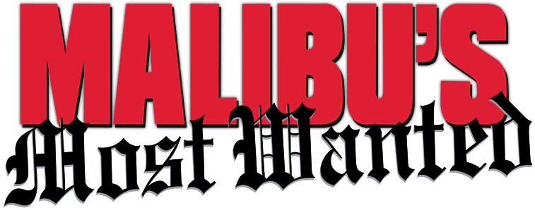 Malibu's Most Wanted Image - Ost/: Malibus Most Wanted Cd (800x310), Png Download