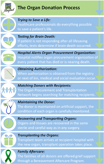 Answer To Your Questions - Organ Donation Works (345x541), Png Download