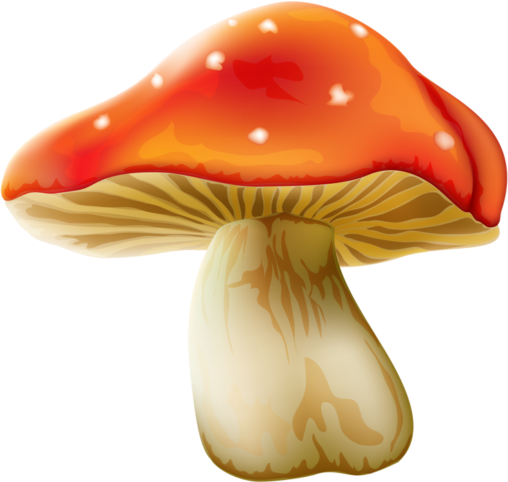 Яндекс - Фотки - Fairy Mushroom Png (800x727), Png Download