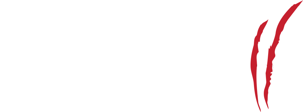 Info - Darkness 2 Wallpaper Iphone (990x372), Png Download